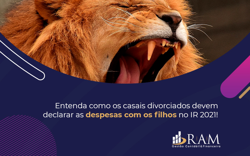 Entenda Como Os Casais Divorciados Devem Declarar As Despesas Com Os Filhos No Ir - Ram Assessoria Contábil