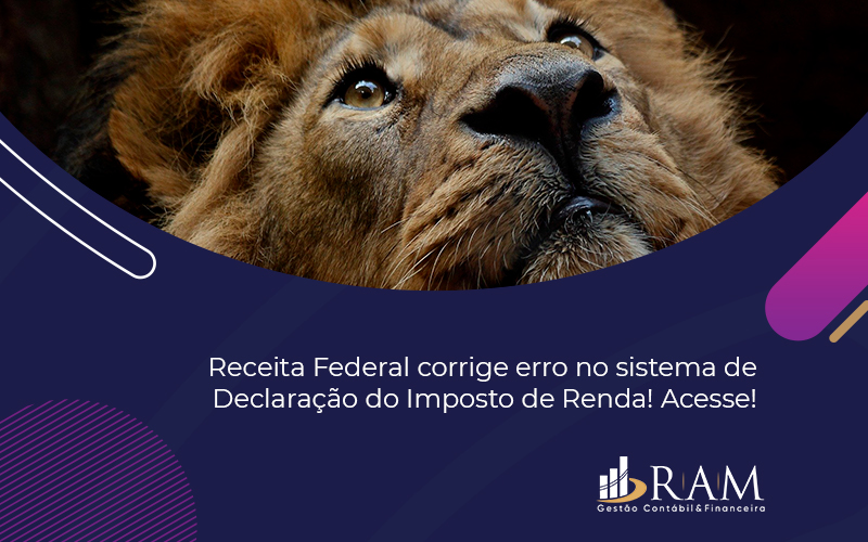 Receita Corrige Erro Na Declaração - Ram Assessoria Contábil